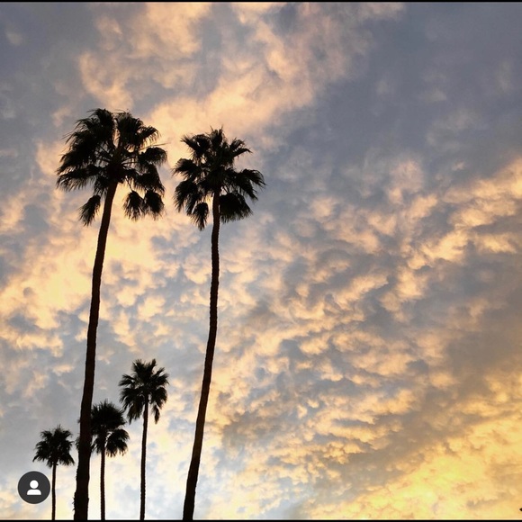 Meet your Posher, Allison - Picture 5 of 7